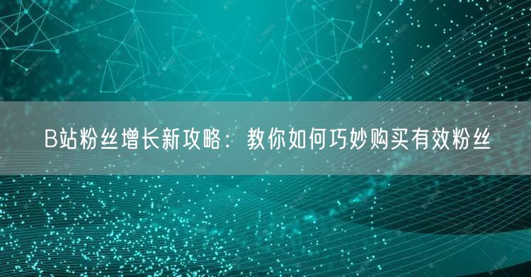 B站粉丝增长新攻略：教你如何巧妙购买有效粉丝