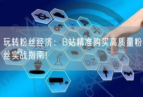 玩转粉丝经济：B站精准购买高质量粉丝实战指南！