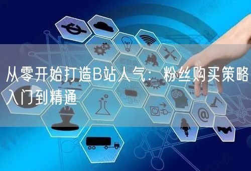 从零开始打造B站人气：粉丝购买策略入门到精通