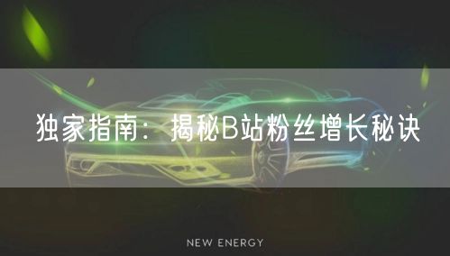 独家指南：揭秘B站粉丝增长秘诀
