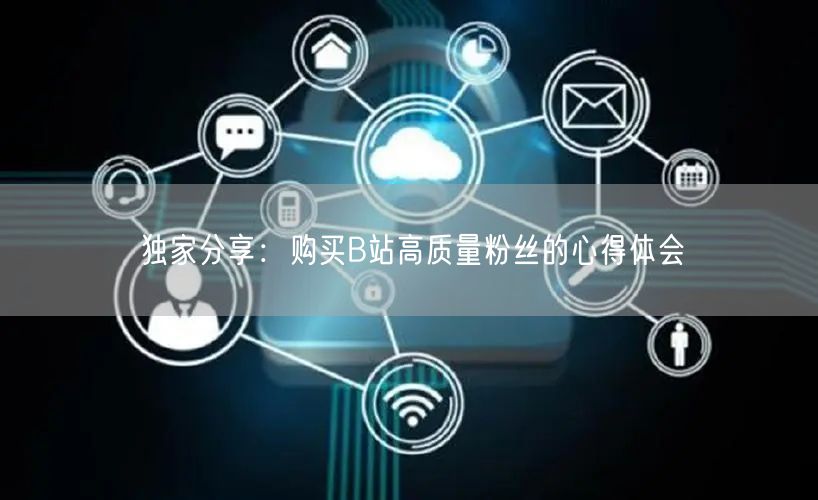 独家分享：购买B站高质量粉丝的心得体会