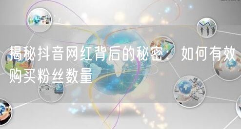 揭秘抖音网红背后的秘密：如何有效购买粉丝数量