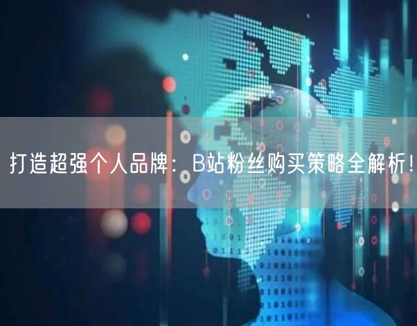 打造超强个人品牌：B站粉丝购买策略全解析！