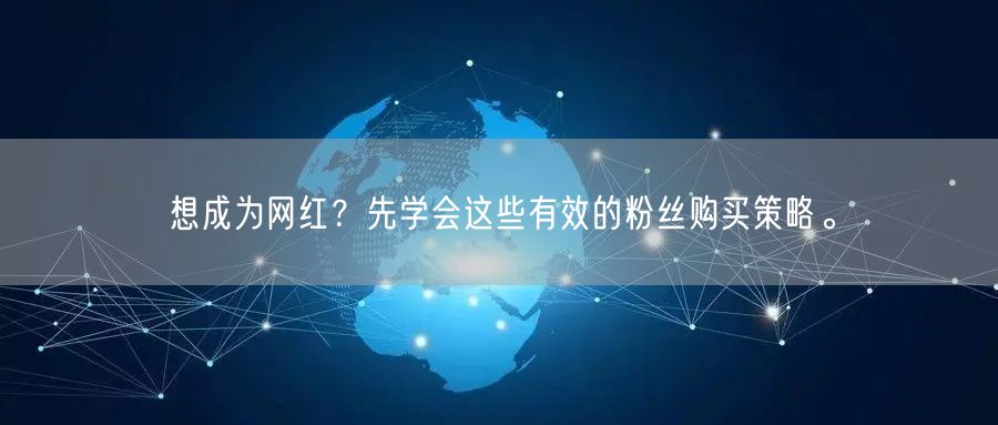 想成为网红？先学会这些有效的粉丝购买策略。
