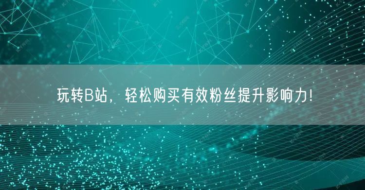 玩转B站，轻松购买有效粉丝提升影响力！