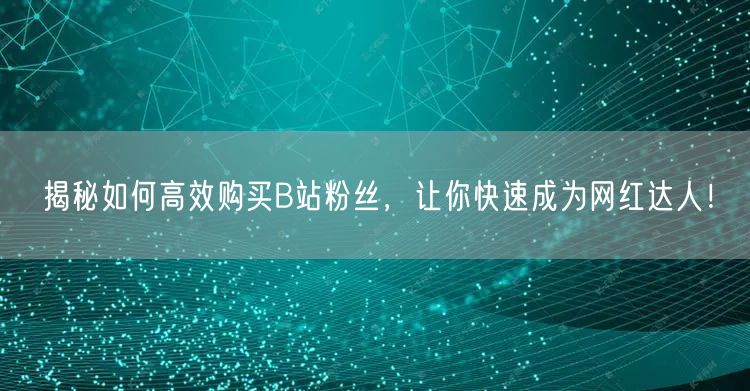 揭秘如何高效购买B站粉丝，让你快速成为网红达人！