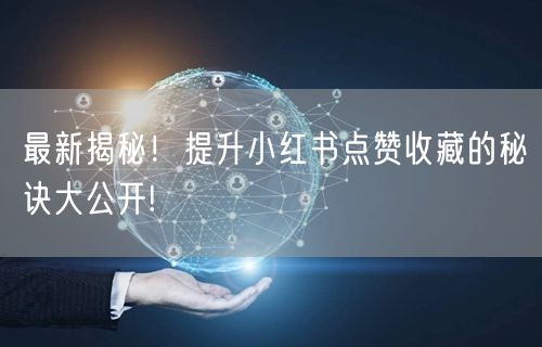 最新揭秘！提升小红书点赞收藏的秘诀大公开!