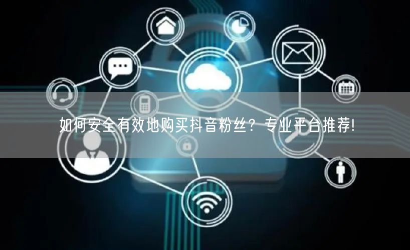 如何安全有效地购买抖音粉丝？专业平台推荐!