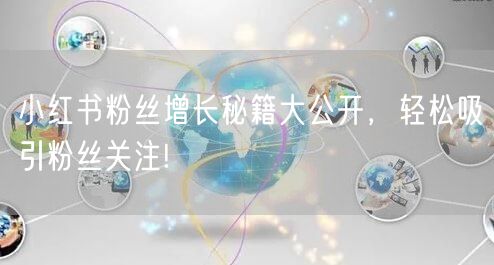 小红书粉丝增长秘籍大公开，轻松吸引粉丝关注!