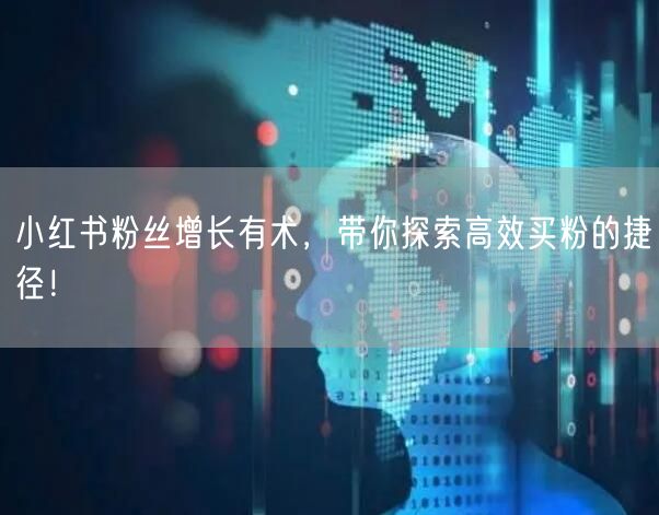 小红书粉丝增长有术，带你探索高效买粉的捷径！