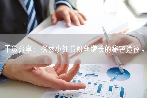 干货分享：探索小红书粉丝增长的秘密途径。