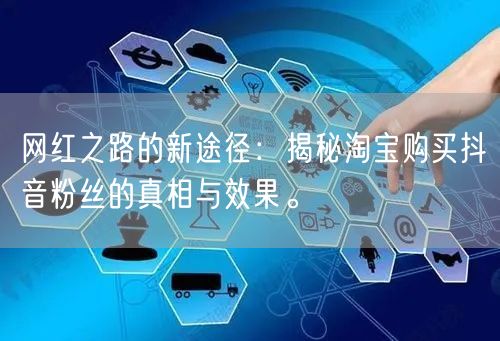网红之路的新途径：揭秘淘宝购买抖音粉丝的真相与效果。