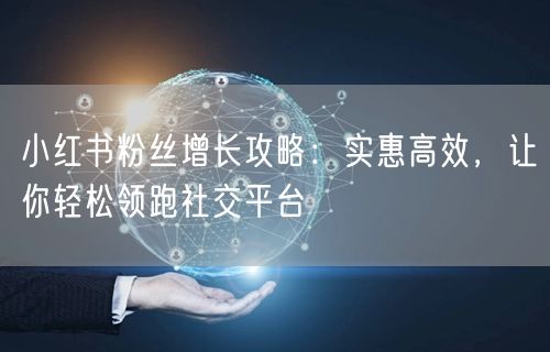 小红书粉丝增长攻略：实惠高效，让你轻松领跑社交平台