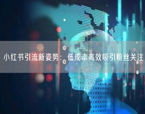 小红书引流新姿势：低成本高效吸引粉丝关注