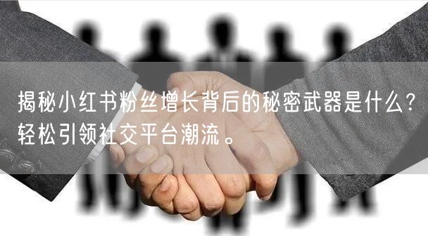 揭秘小红书粉丝增长背后的秘密武器是什么？轻松引领社交平台潮流。