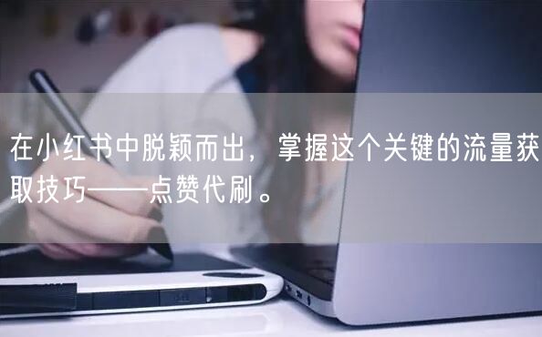 在小红书中脱颖而出，掌握这个关键的流量获取技巧——点赞代刷。