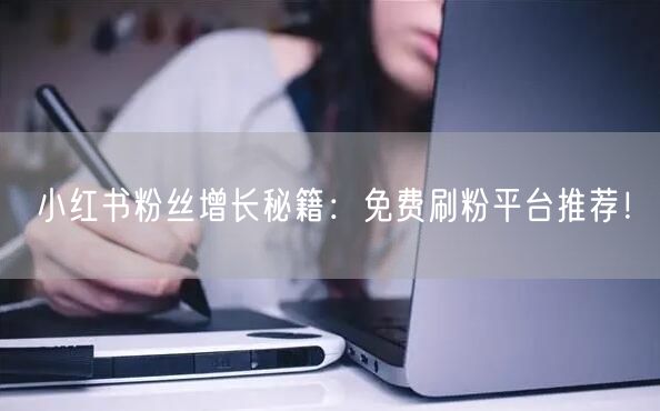 小红书粉丝增长秘籍：免费刷粉平台推荐！