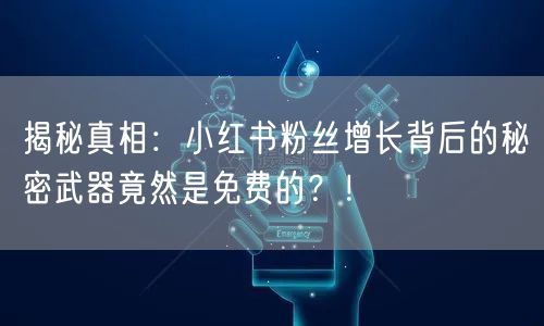 揭秘真相：小红书粉丝增长背后的秘密武器竟然是免费的？！