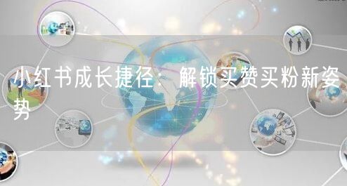 小红书成长捷径：解锁买赞买粉新姿势