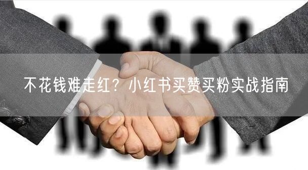 不花钱难走红？小红书买赞买粉实战指南