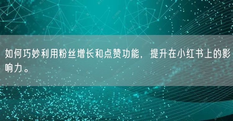 如何巧妙利用粉丝增长和点赞功能，提升在小红书上的影响力。