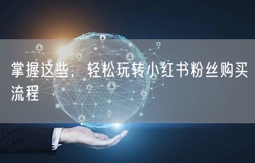 掌握这些，轻松玩转小红书粉丝购买流程