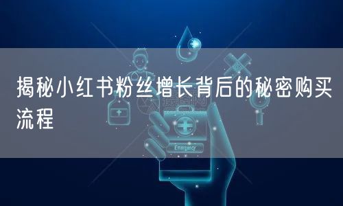 揭秘小红书粉丝增长背后的秘密购买流程