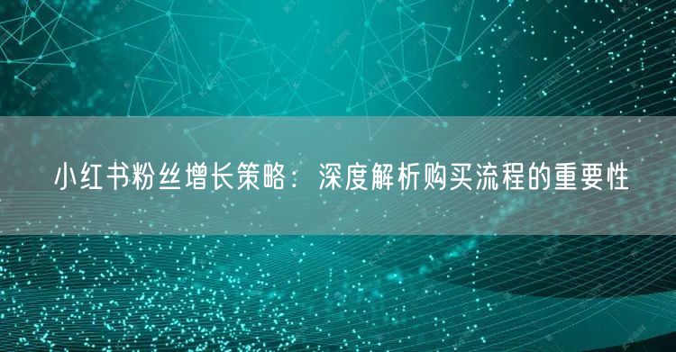 小红书粉丝增长策略：深度解析购买流程的重要性