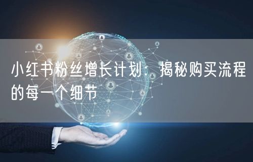小红书粉丝增长计划：揭秘购买流程的每一个细节