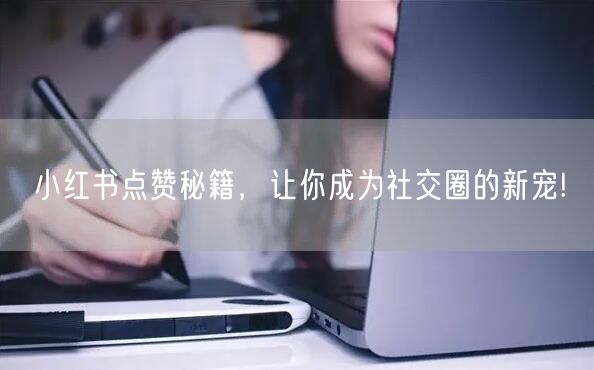小红书点赞秘籍，让你成为社交圈的新宠!