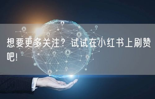想要更多关注？试试在小红书上刷赞吧!