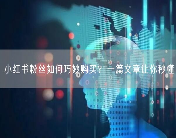 小红书粉丝如何巧妙购买？一篇文章让你秒懂