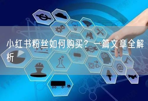 小红书粉丝如何购买？一篇文章全解析