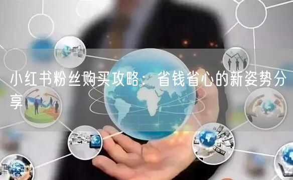 小红书粉丝购买攻略：省钱省心的新姿势分享
