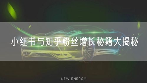 小红书与知乎粉丝增长秘籍大揭秘