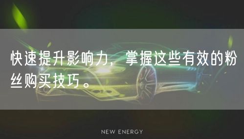 快速提升影响力，掌握这些有效的粉丝购买技巧。