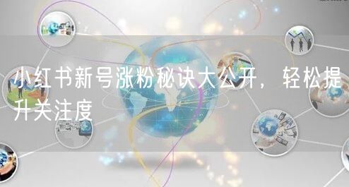 小红书新号涨粉秘诀大公开，轻松提升关注度